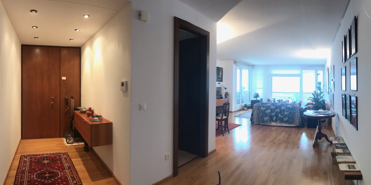 Atrio - Uscita retrocucina - zona giorno , Appartamento vendita, 6900 Lugano