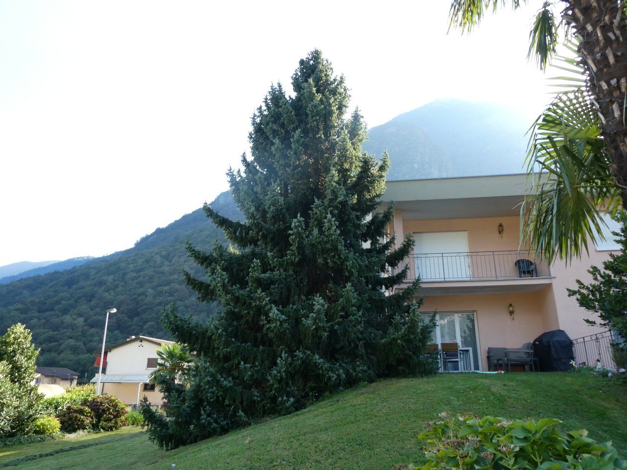 Grazioso giardino mediterraneo , Casa vendita, 6500 Bellinzona