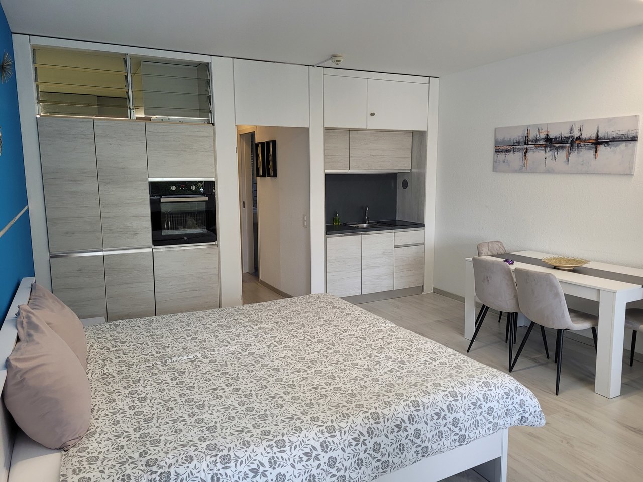 Neue und moderne Küche , Appartamento vendita, 6816 Bissone